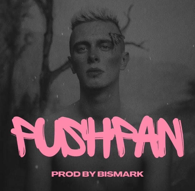 PUSHPAN